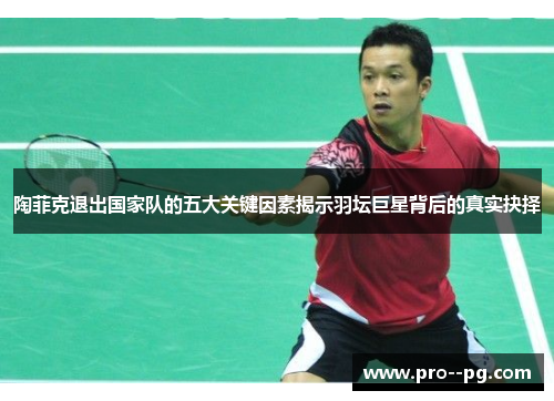 陶菲克退出国家队的五大关键因素揭示羽坛巨星背后的真实抉择