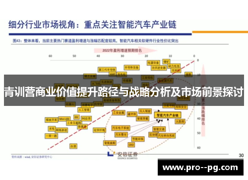 青训营商业价值提升路径与战略分析及市场前景探讨
