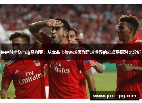 鲁伊科斯塔与迪马利亚：从本菲卡传奇球员到足球世界的璀璨星辰对比分析