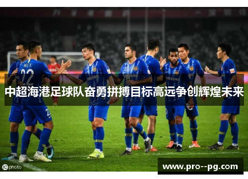 中超海港足球队奋勇拼搏目标高远争创辉煌未来 中超海港足球队奋勇拼搏目标高远争创辉煌未来